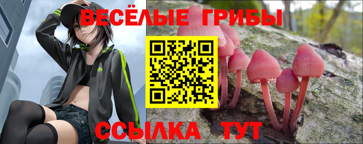 Псилоцибиновые грибы ЛСД Ржев