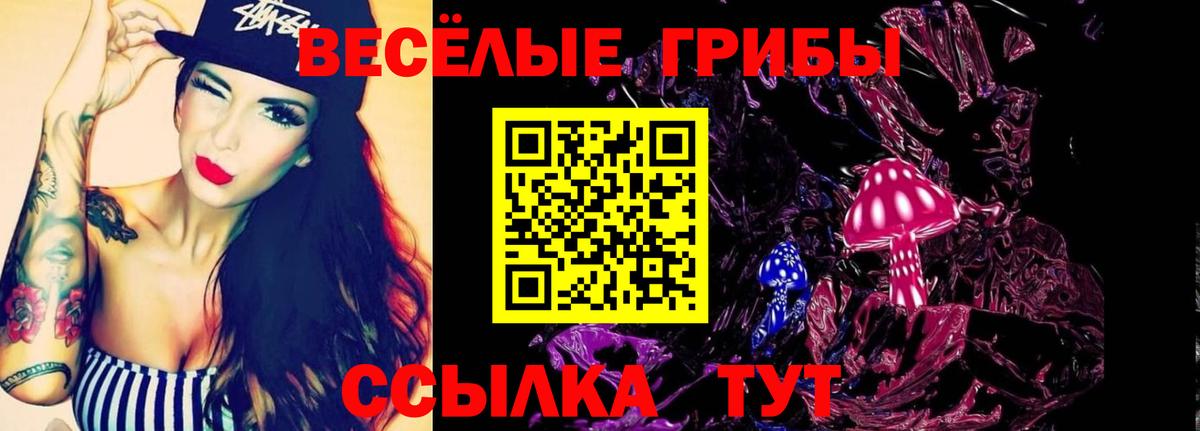 Псилоцибиновые грибы MAGIC MUSHROOMS  Вход с VPN  Ржев 